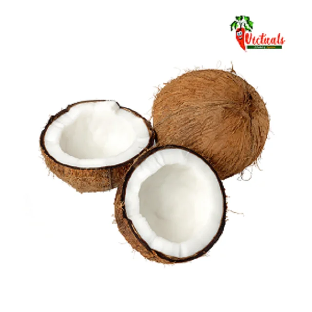 Grow Some Coconuts! - Coconut from India