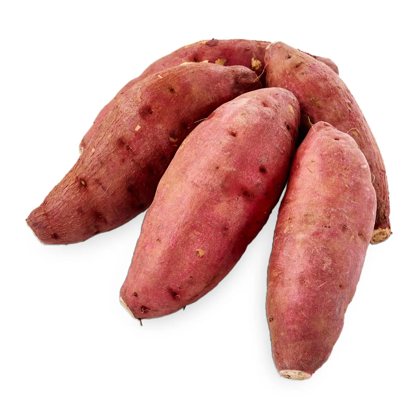 Export quality IQF Frozen french fries potato at the cheapest price