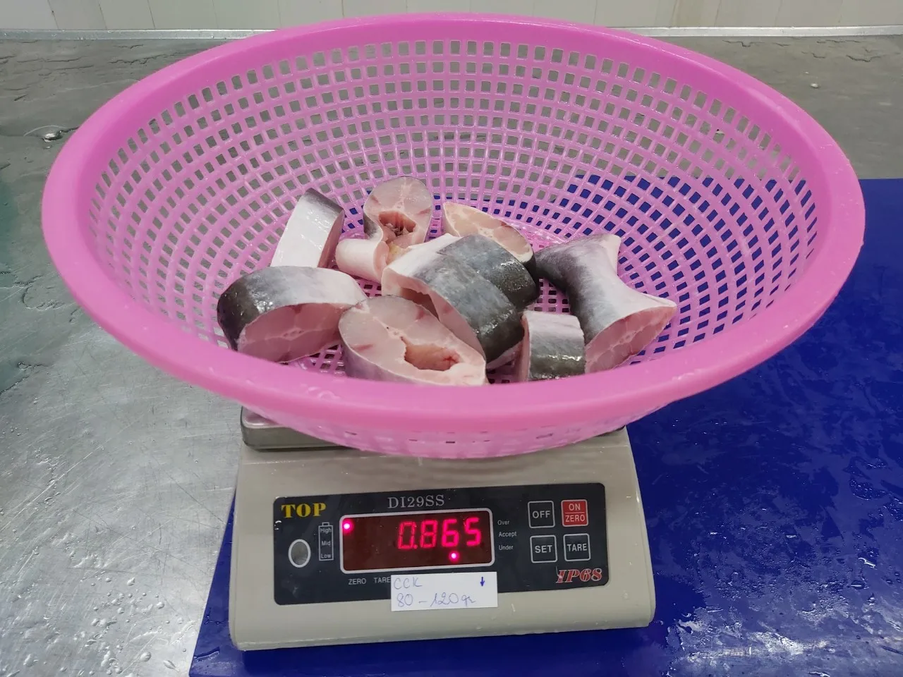Frozen Seafood Pangasius Hypophthalmus/ basa fish cutting machine Wholesale Suppliers