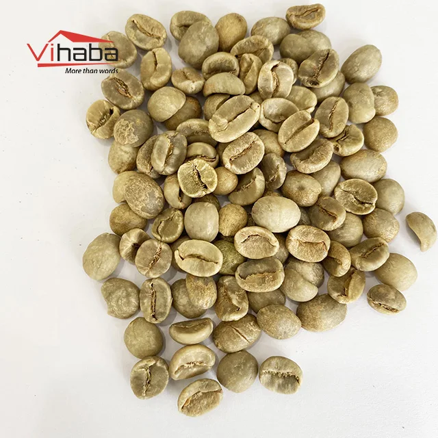 Price of raw coffee beans common coffe beans drinking robusta coffee bean