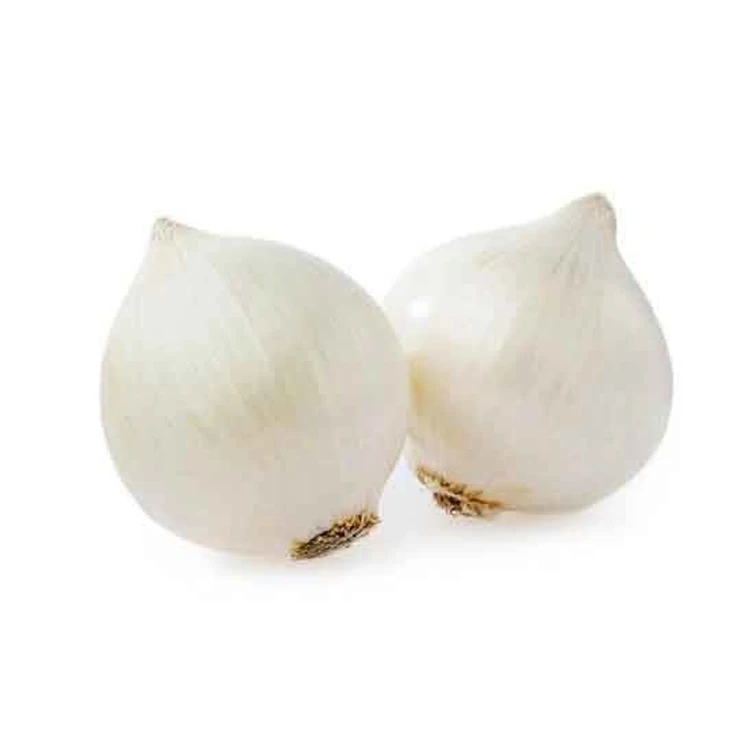 2021 New Crop Good Quality Wholesale Fresh Onions/ Onions Supplier