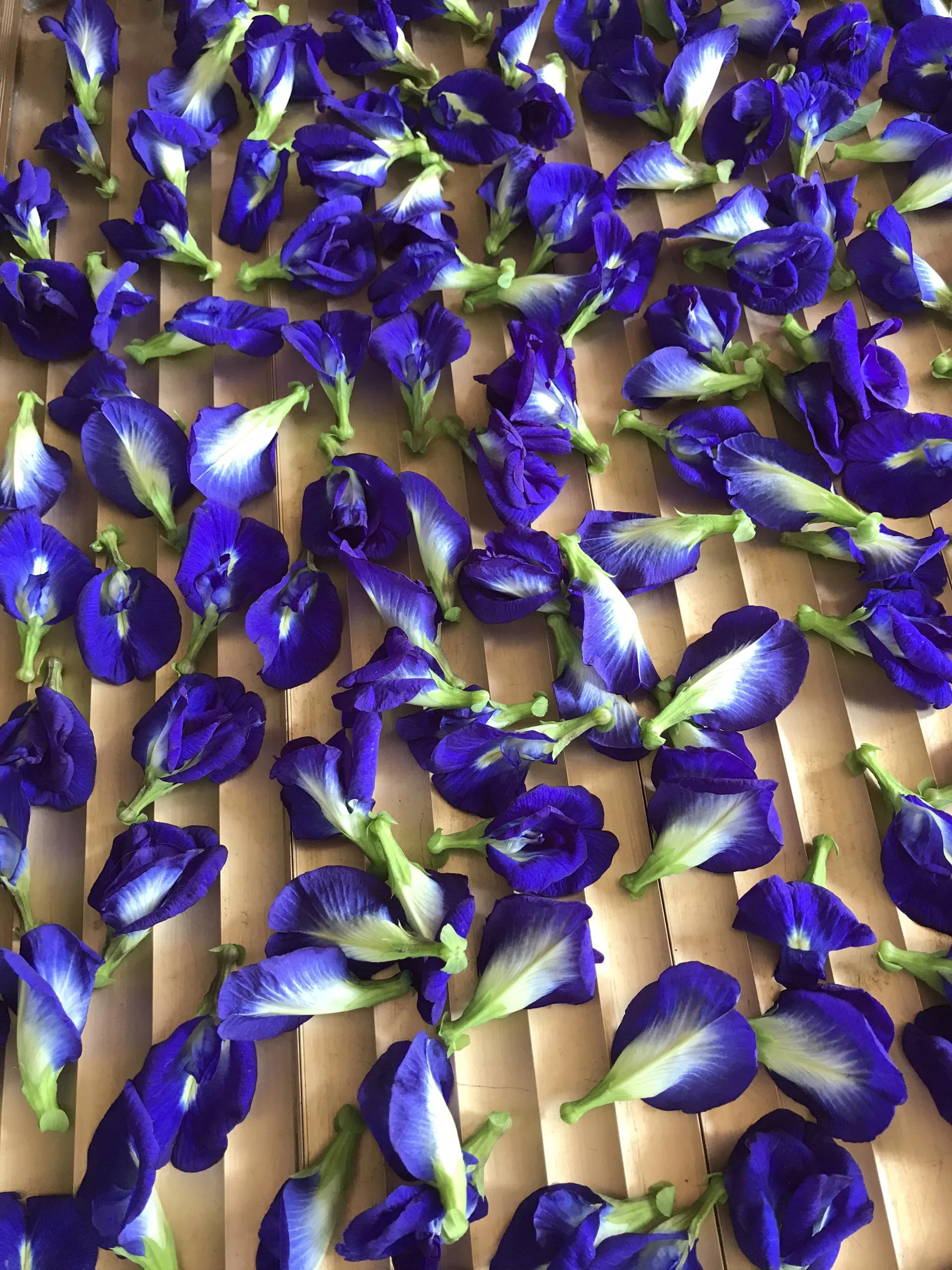 
Blue Butterfly Pea Flower Tea Tea Bag OEM Packing -Contact W/A +84 90 335 49 81 ( Kim ) 