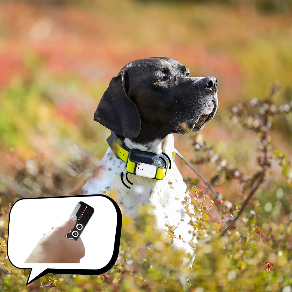 Многофункциональный смарт-трекер для детей поиск кошек и локатор товара ключей сумок