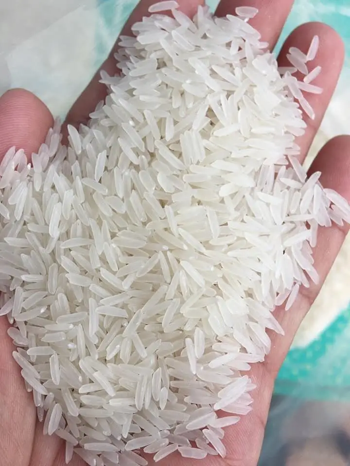 PREMIUM ST24 RICE - THE BEST RICE IN THE WORLD - Ms. Jane +84 968234538
