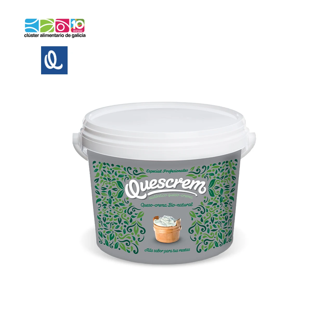 Cheese Ice cream gourmet from Spain [Quescrem]