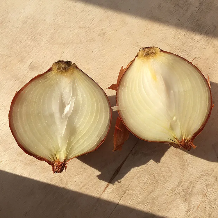 Экспорт оптовая цена горячая Распродажа овощей свежий натуральный красный фиолетовый лук/Пакистанский Красный