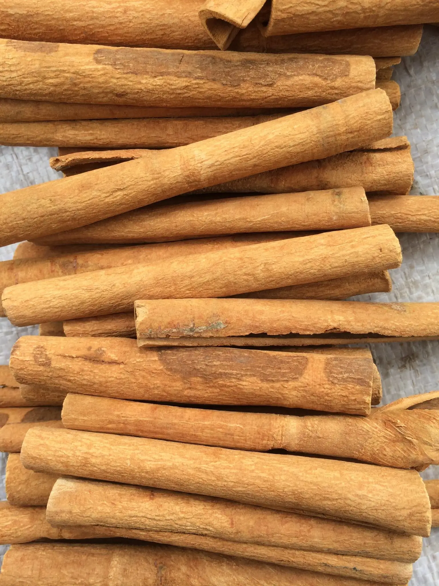 VIETNAM CINNAMON STICK PROMPT SHIPMENT AT COMPETITIVE PRICE