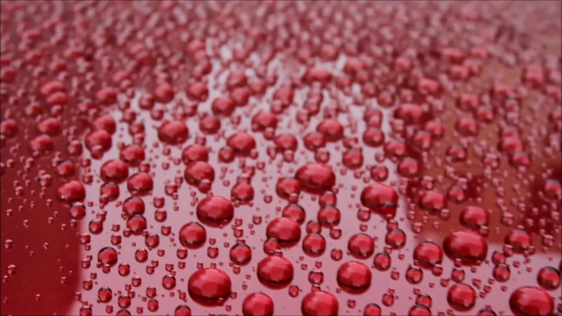 88% Carnauba Car Wax OEM