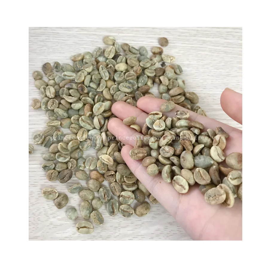 
 Vietnnam, оптовая цена, кофейные зерна Arabica, высококачественные зеленые кофейные зерна, необработанные кофейные зерна  