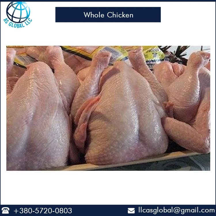Premium Grade Halal Whole Chicken at Best Price