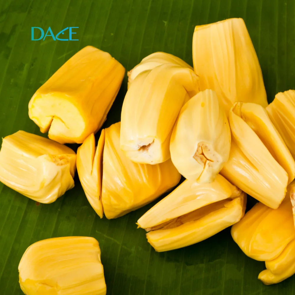 Top Selling 100% Fresh Tropical Fruit Fresh Fruit Organic Jackfruit from Vietnam Best Supplier Contact us for Best Price