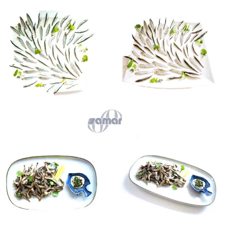 Frozen Whitebait Fish Top a Grade Bulk,box Packaging 6 - 9cms Cm with 24 Months Shelf Life 10 Kg Ice Preserved Raw Frozen N/A