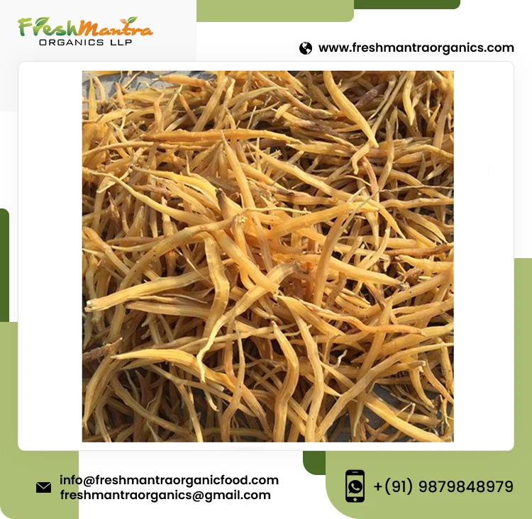 100% Natural Shatavari Powder Extract Shatavari Root Powder For Stronger Immune System Supplier