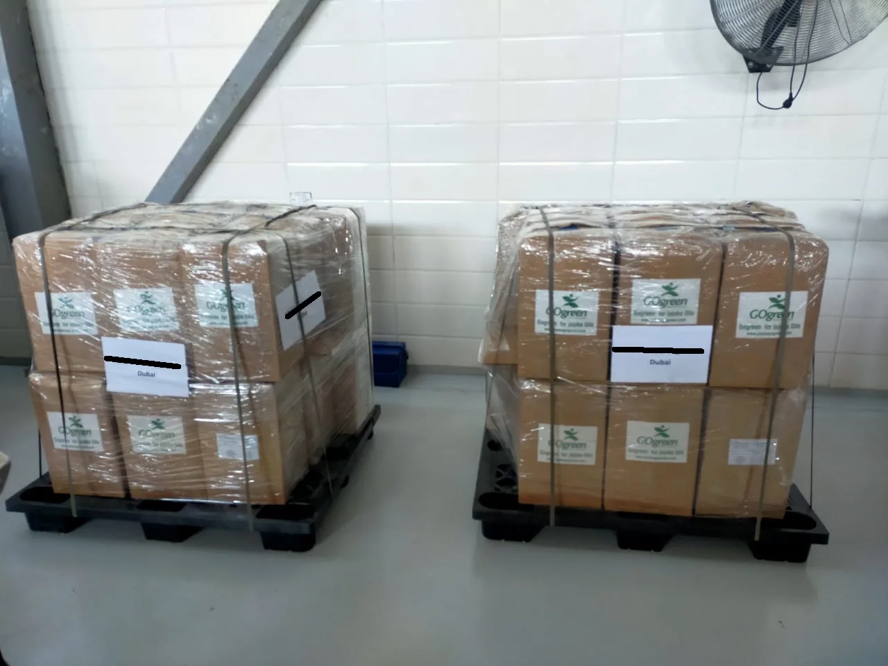 OEM/ODM с MSDS холодное прессование без каких-либо добавок упакованные в jerrican 100% чисто зеленое египетское масло зародышей