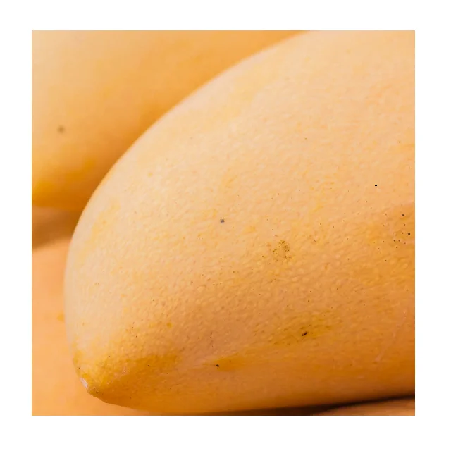 Fresh And Organic Sindhri Pakistani Mangoes In Wholesale Price