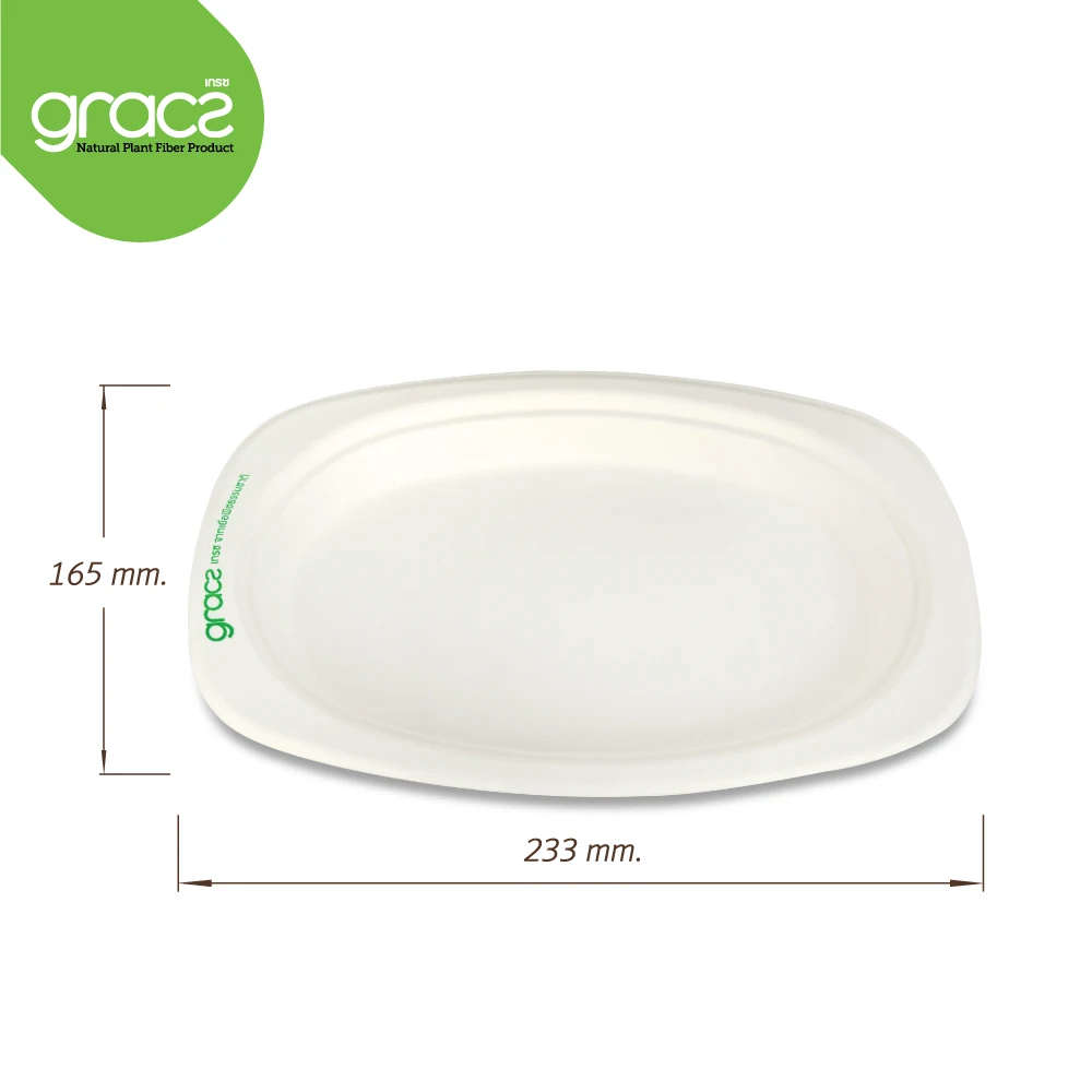 
Gracz P009 Oval Plate 6.5 inch Food Containers Sugarcane Pulp Packaging Compost from Thailand 