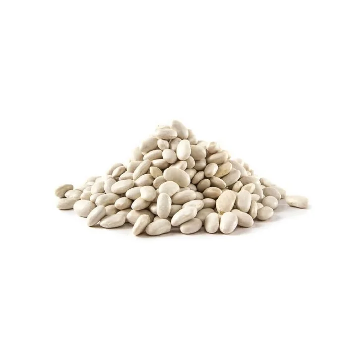 
Wholesale Dealer Of Cheapest Price White Butter Beans 