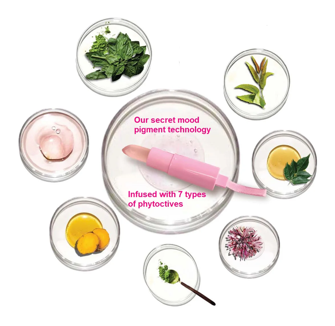 
 Собственная торговая марка, оптовая продажа, увлажняющий экологически чистый бальзам для губ, индивидуальная упаковка  