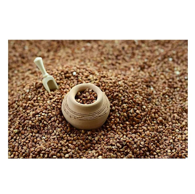 Доступные оптовые запасы зерен гречихи по самым низким