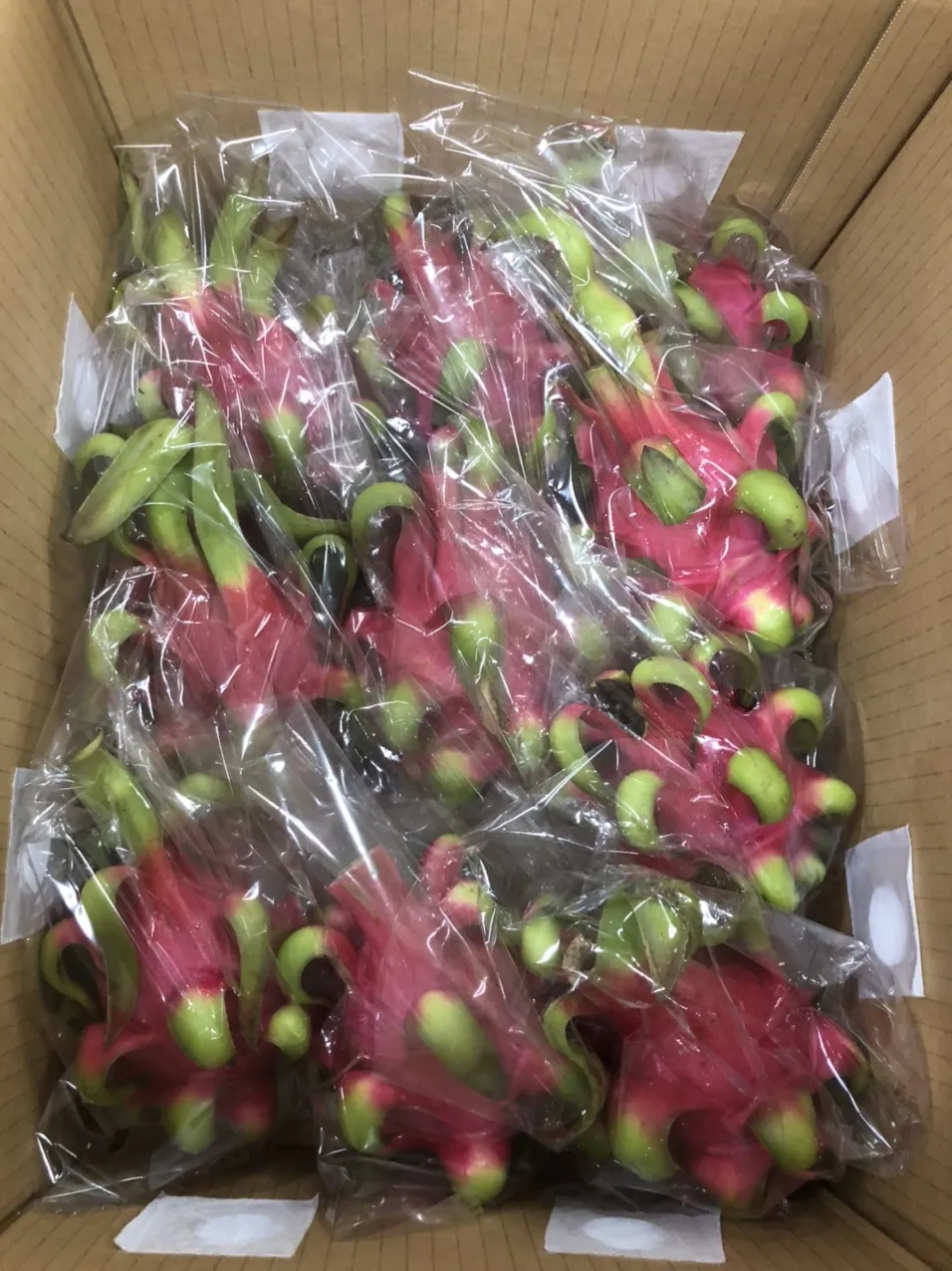 Свежий фрукт дракона для экспорта из Вьетнама