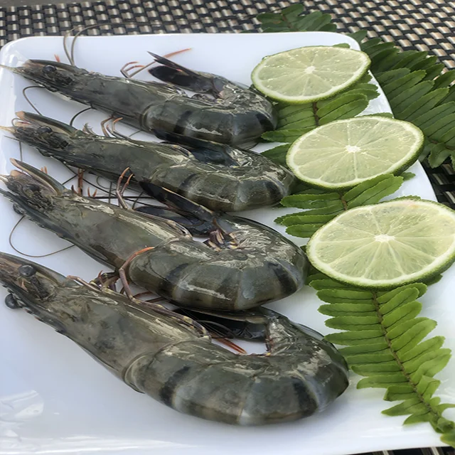 
Black Tiger Shrimp From Viet Nam 