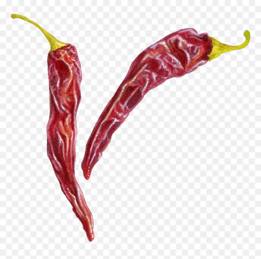 Wholesale Cheap price 100% Dry Organic Pepper Chili From Vietnam Agri Dry Chili Red Dried