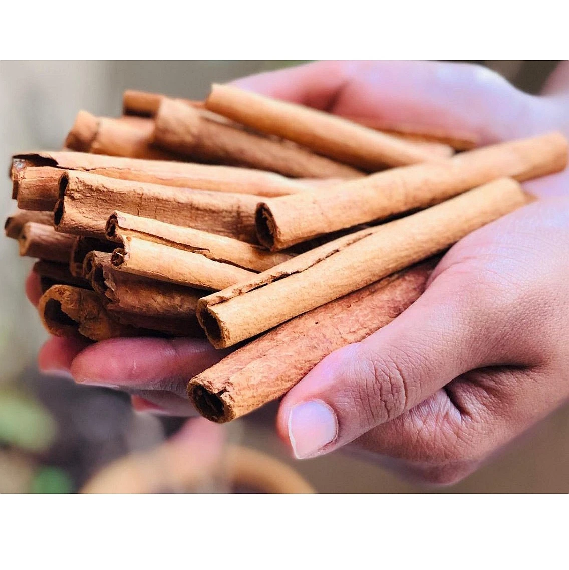 Best Selling Cinnamon Sticks High Quality 100% Natural Cassia Cinnamon Roll
