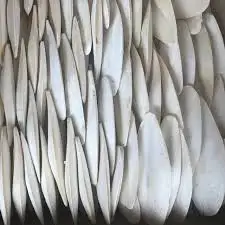 DRIED CUTTLEFISH BONE // EXPORTING CUTTLEFISH BONE FOR BIRDS - IVY +84 977157110