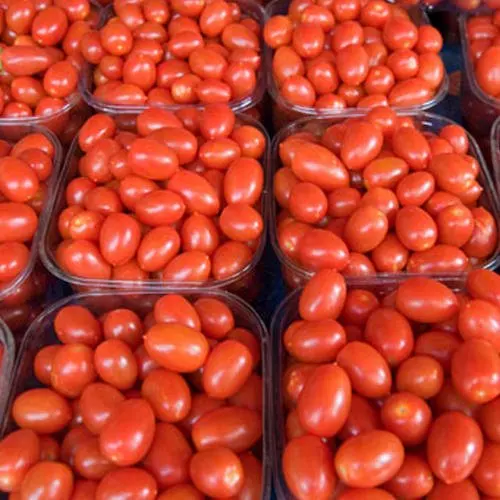 
Top quality fresh red cherry tomato with high quality 