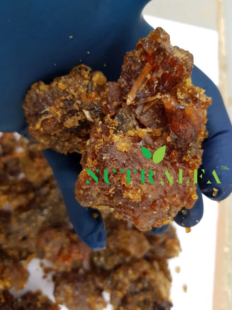 Gum Guggul Pure Grade for Extract - High Guggalsterones E & Z Count