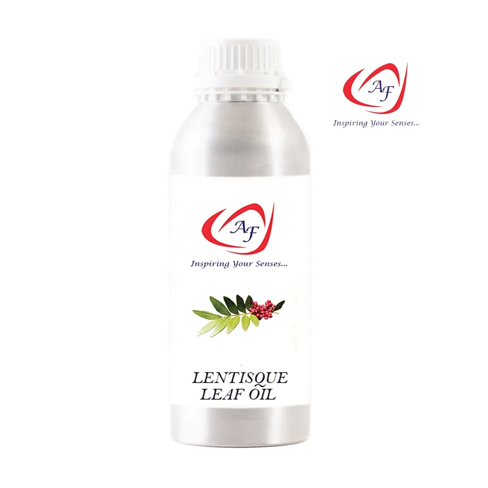 Органическое лентийное листовое масло оптом по оптовой цене