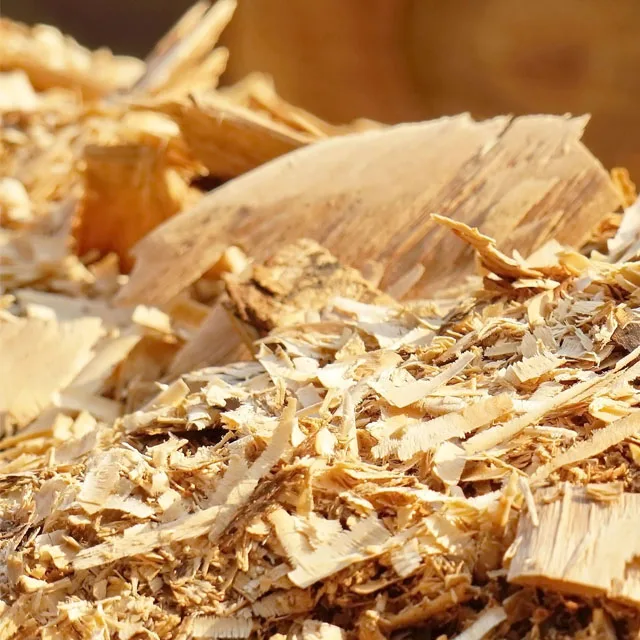 Best Price Wood Sawdust for Sale in Bulk / Agriculture Waste