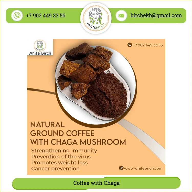 Best Quality Herbal Ingredients Chaga Mushroom Extract Chaga with Coffee Mushroom Powder