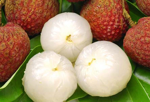 Fresh Lychee fruit from vietnam-  wholesaler bulk supplier cheapest price good price high quality/ Mr Ethan +84941069457
