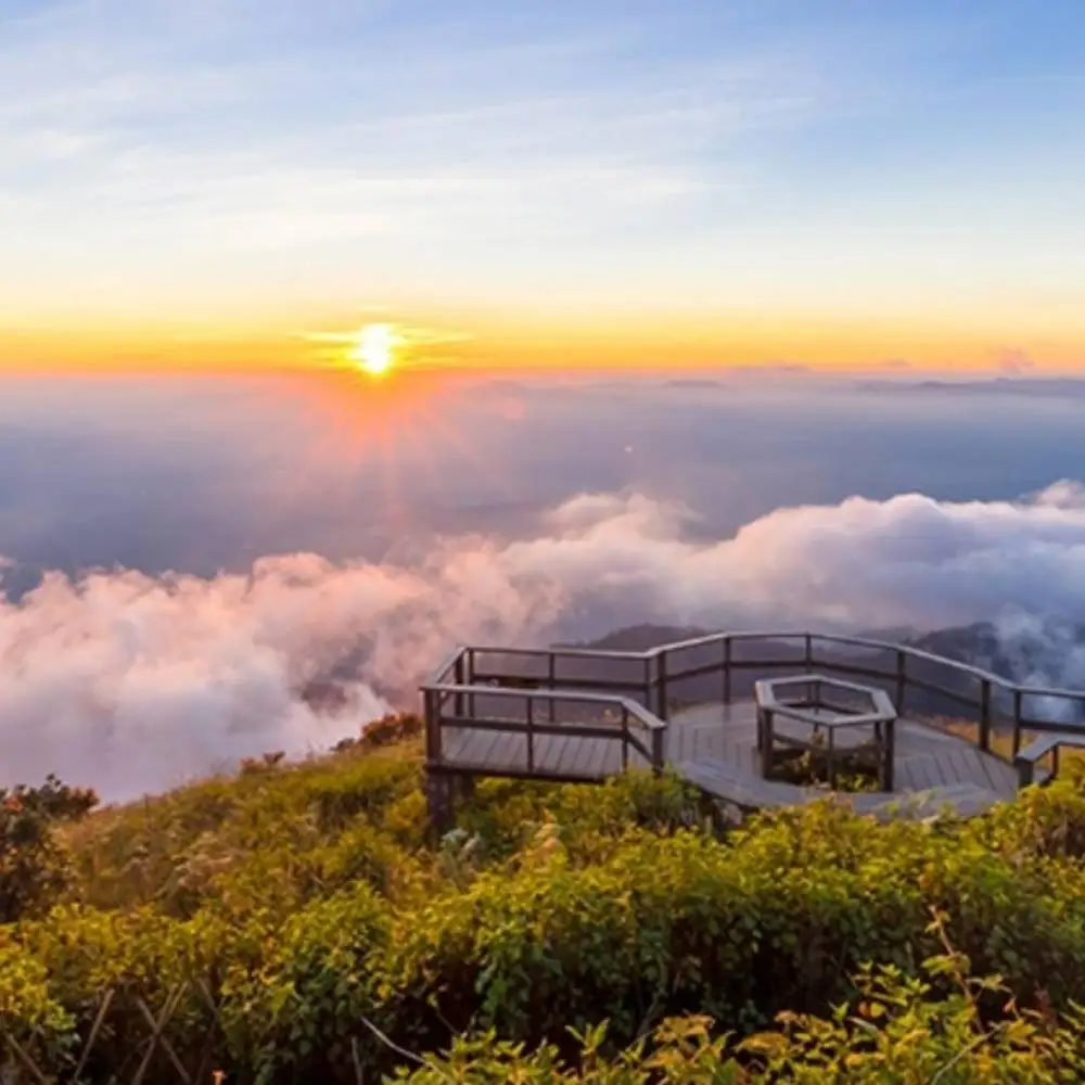 
Thailand Tour Traveller Packages Services Chiangmai Bangkok Phuket Pattaya Koh Phagan Fullmoon party Hotel VIP & Bagpaker Group 