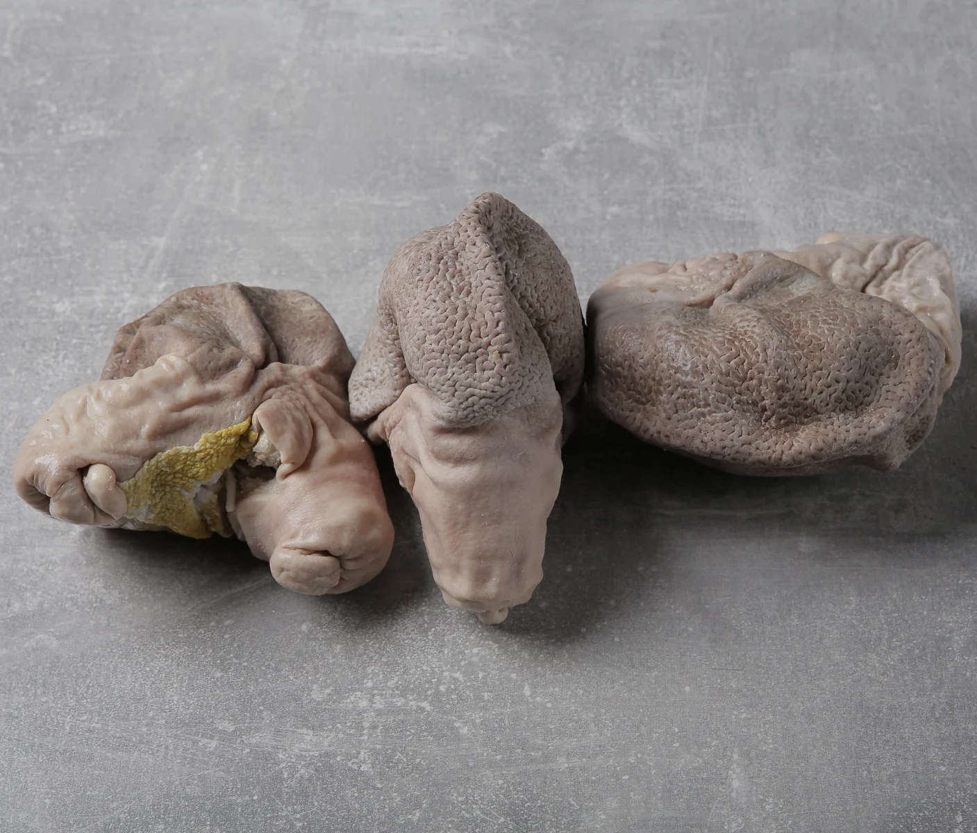 Pork cooked stomach / Frozen stomach cooked