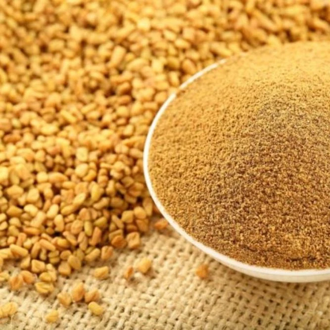 Top A grade Fenugreek (Methi) Seeds Powder export at best price wholesale and retail buyer