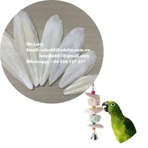 High Quality Dried Cuttlefish Bone  For Pet From Vietnam Ms.Lucy +84 929 397 651