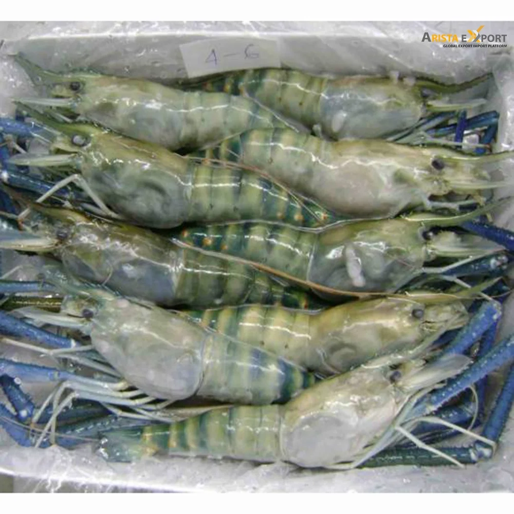  Head-on Shell-on HOSO Semi IQF Raw Frozen Seafood Black Tiger