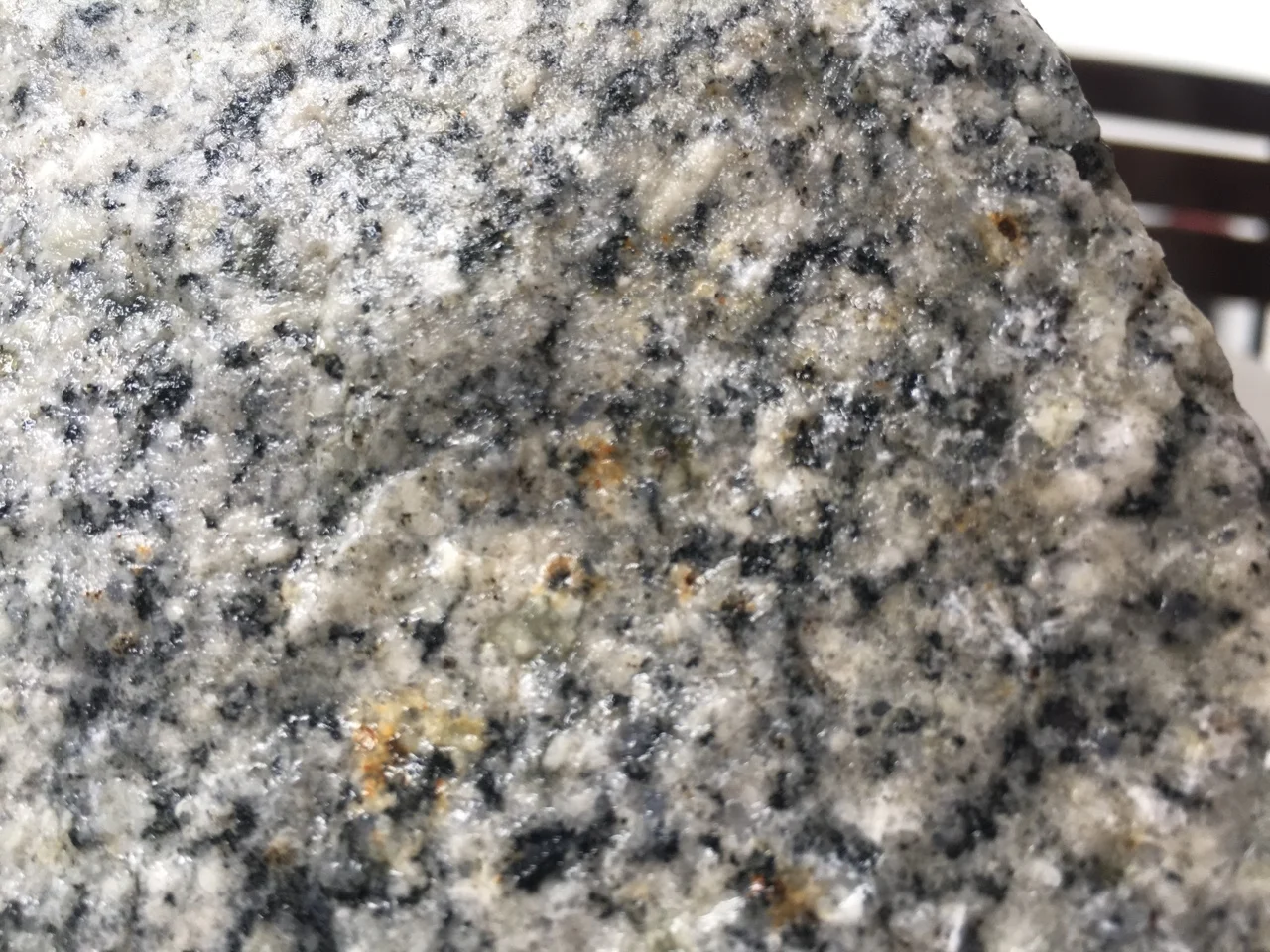 
Vietnam Factory Direct Sale White Black Leopard Granite Natural Stone 