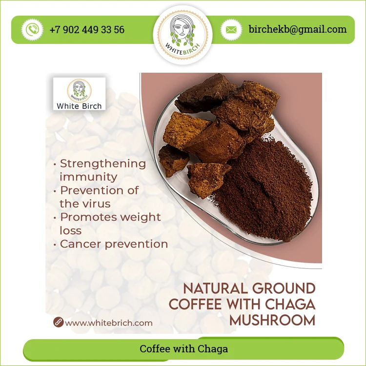 Best Quality Herbal Ingredients Chaga Mushroom Extract Chaga with Coffee Mushroom Powder