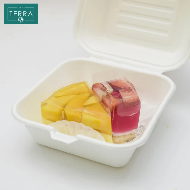 Surgarcane Bagasse Biodegradable Packaging Food Pulp Moulding Clamshell 2 compartment (950ml) From Vietnam