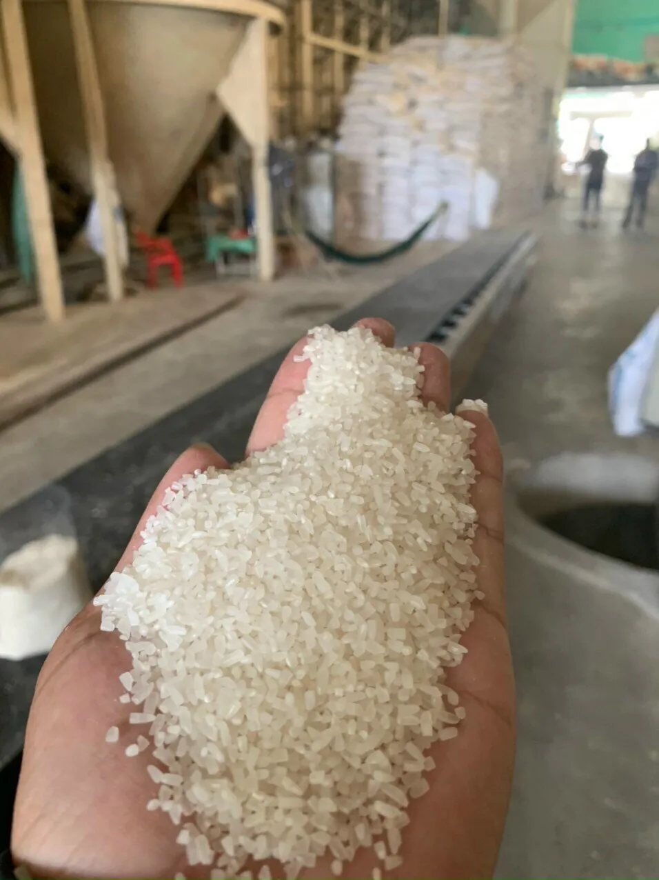 100% сломанный аромат произведенный в Вьетнаме текущий год низкая цена топ оптовая продажа