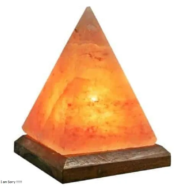 Himalayan Natural Pink Egg Flower Shape Rock Salt Lamp from the foot hills of Himalayan Mountain Range in Pakistan