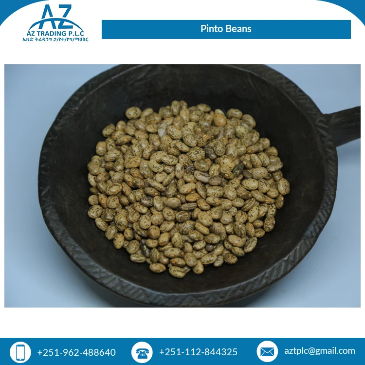 Best Selling Fresh 2 Year Shelf Life Wholesale Natural Hand Picked Pinto Beans at Least Price