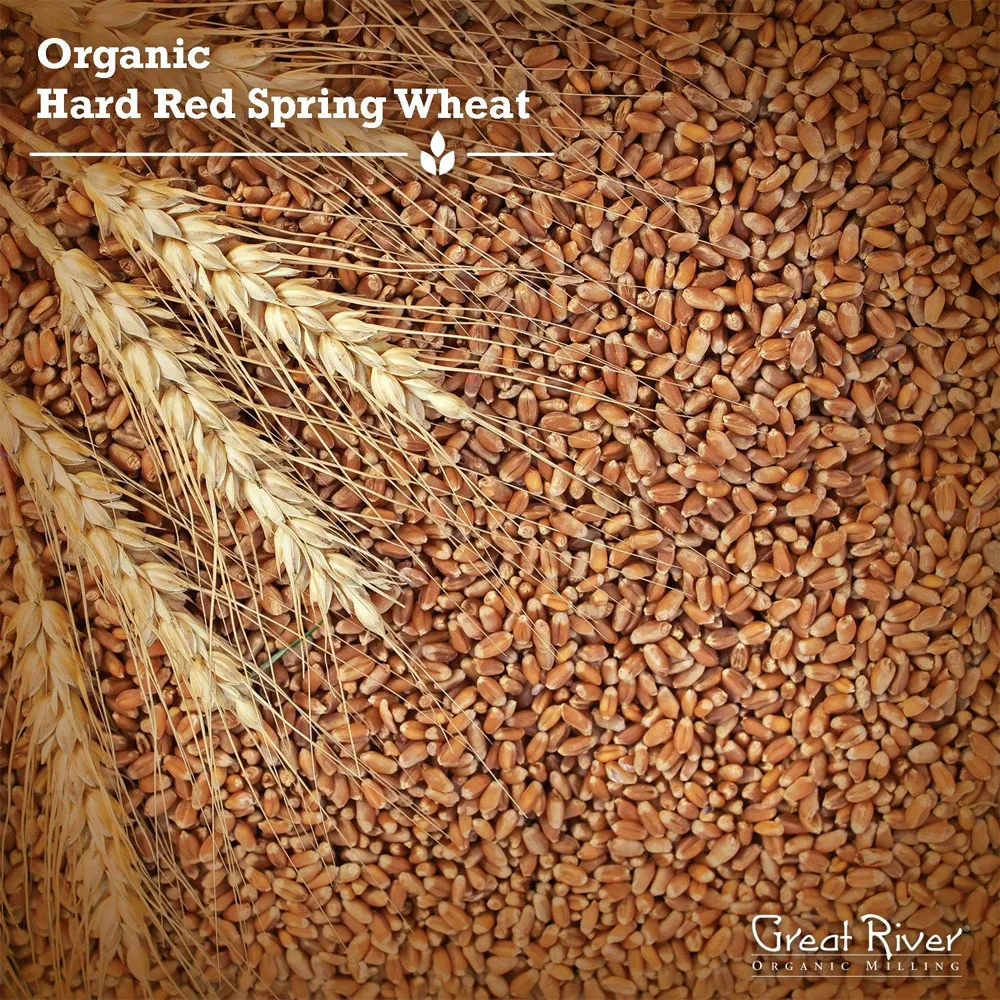 
Great River Organic Milling, Whole Grain, Hard Red Spring Wheat, Organic, 25-Pounds 