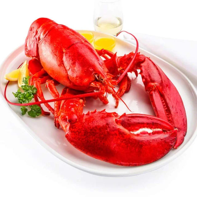 Best Sales Frozen Lobster For Sale At Cheap Price