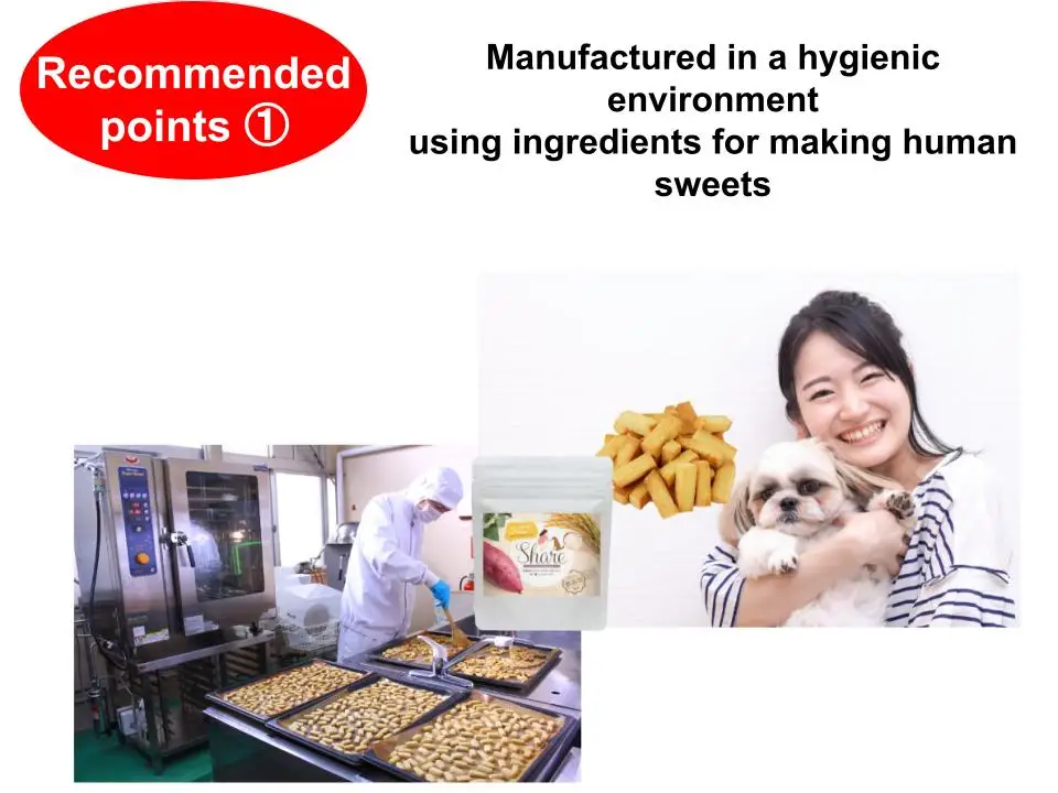 Japan additive-free vegan dog food pet biscuits snack cookie