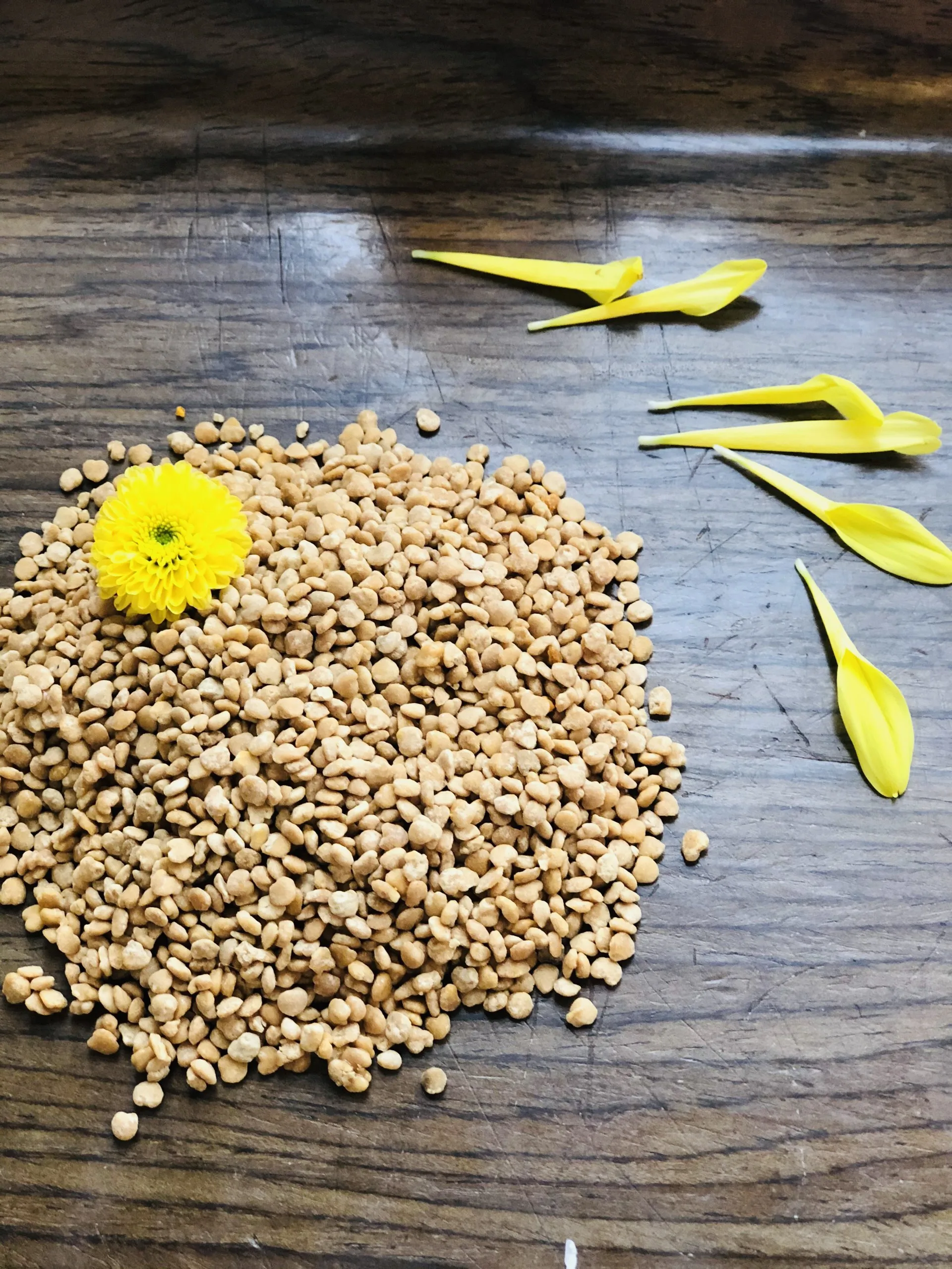 Hot In 2021!!! Bee Pollen Powder 100% Pure Natural Wholesale Made In Viet Nam