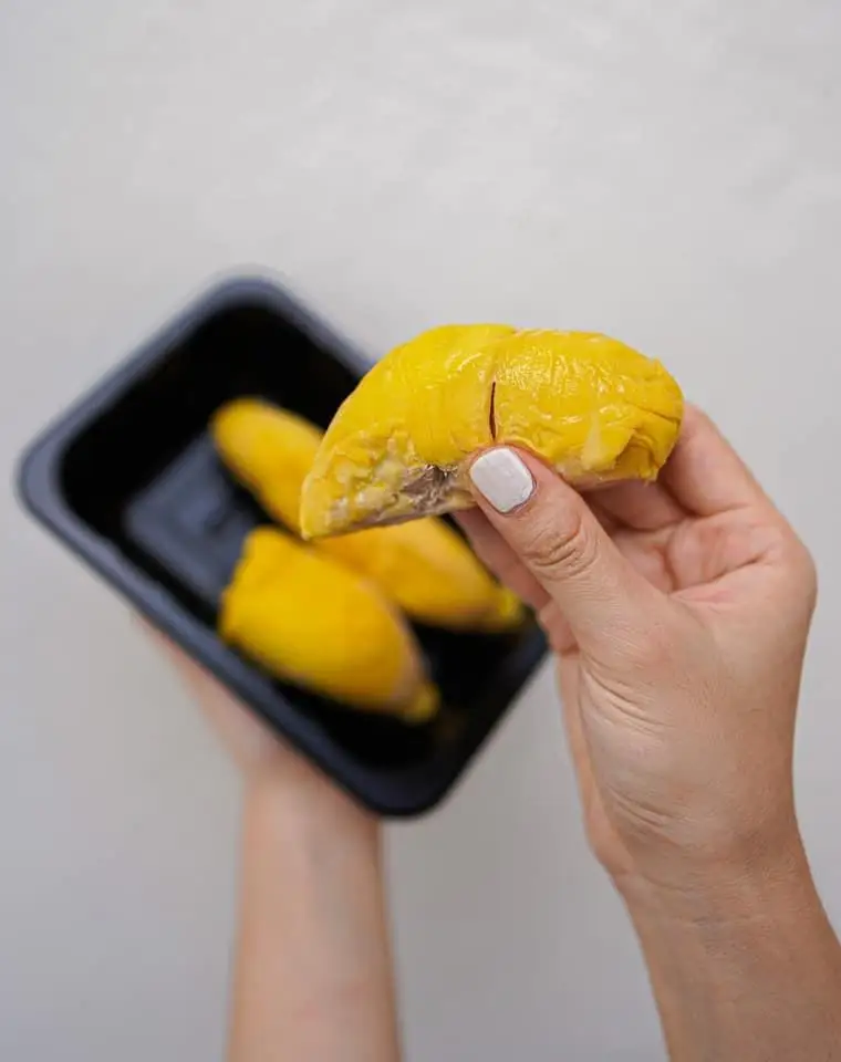 Frozen Durian Pulp From Malaysia